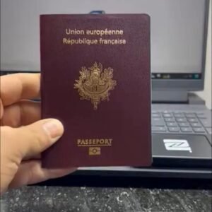 french passport